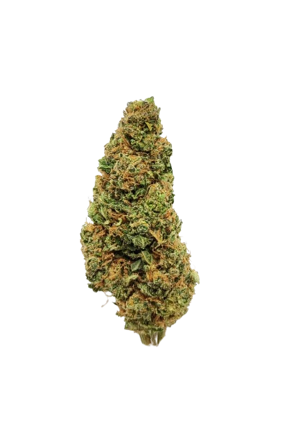 Jack Herer