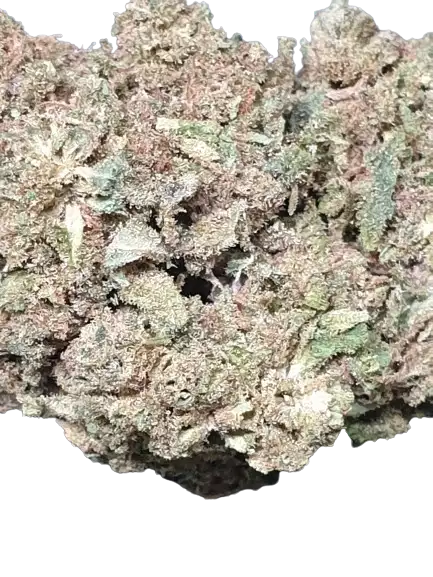 La Kedy Kush